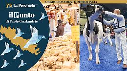Il buon business, un affare di famiglia