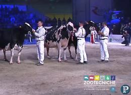 Fiere Zootecniche Internazionali, l'ultima giornata in diretta
