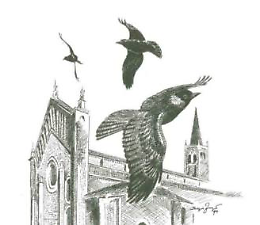 Presentazione del libro "Avifauna della città di Cremona tra 1990 e 2020"