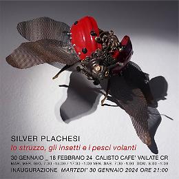 Silver Plachesi: Lo struzzo, gli insetti e i pesci volanti