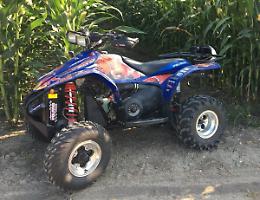 Ladri in azione: via un quad 