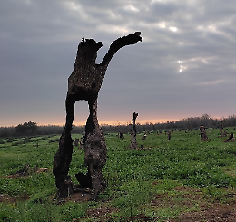 Proiezione del docu-film “Il Tempo dei Giganti” 