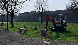 Al Cascinetto altri 21 alberi, e il parco sarà ‘reinventato’
