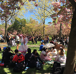 Festa al parco, per bambini e per tornare bambini!