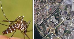 Dengue, un caso sospetto: subito il trattamento di disinfestazione