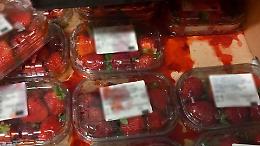 Fragole marce anche a Crema, malori in classe a Offanengo