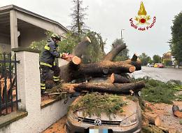 Maltempo, a Cremona super lavoro dei vigili del fuoco