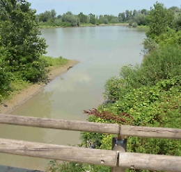 Gita in bicicletta nel Parco del Po e del Morbasco