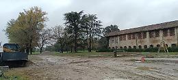 Pierina, cambia il parco: più alberi, ma ‘piccoli’