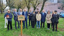 "Due alberi per la salute" all'Ospedale di Cremona