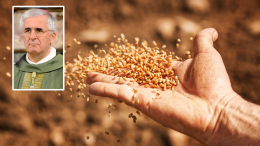 C'è bisogno di coltivatori e seminatori di speranza