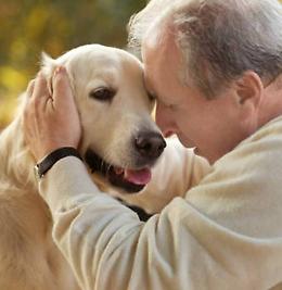 Cani e padroni ora insieme per sempre
