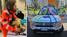 Ambulanza veterinaria: 24 ore al giorno per gli animali
