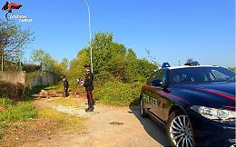 Spaccio nel boschetto della droga, 25enne in carcere