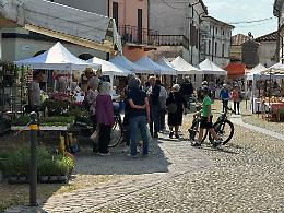 Fiori, camminate e sorrisi: Castelponzone celebra la sua Primavera nel Borgo