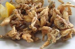 45^ edizione della Sagra della Rana e del Pesce