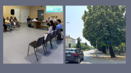 «I tigli siano abbattuti»