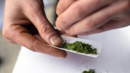 Procuravano hashish ai compagni di classe
