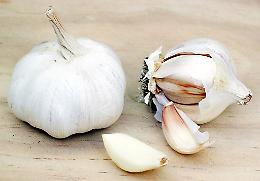 Furto "stagionale": rubato l'aglio nel campo
