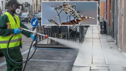 Allerta dengue: guerra alle zanzare per abbattere i rischi