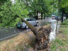 Maltempo nel Cremasco: alberi caduti, allagamenti e danni