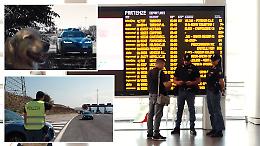 Mobilità estiva, la Polizia di Stato al fianco dei viaggiatori