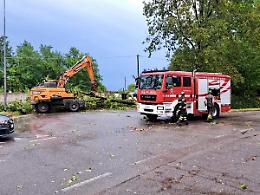 Maltempo e forte vento, alberi caduti in paese