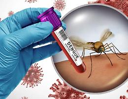 Allerta Dengue: interventi straordinari tra Villanova e Stagno Lombardo