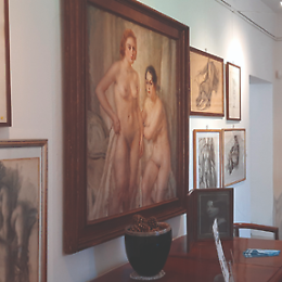 Apertura al pubblico della casa museo Arata