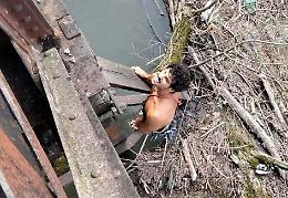 I volontari acrobati della ‘missione tronchi’
