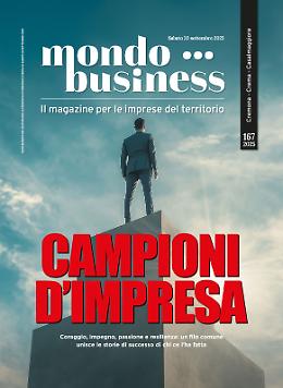Campioni d'impresa