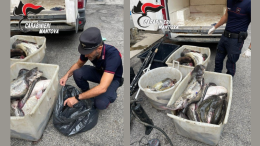 Blitz notturno: tre quintali e mezzo di pescato illegale finiscono sotto sequestro
