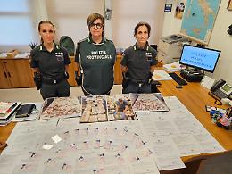 Maxi giro di patenti false, annullate 52 licenze di guida  tra Cremona e Brescia