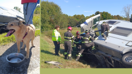 Cagnolino salvato dopo il ribaltamento del camper, lievi contusioni per i padroni
