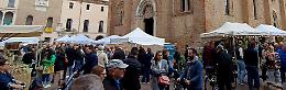Fiori e sapori: sbocciano gli stand dell’autunno