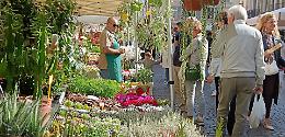 Fiori e Sapori: piazza Duomo sboccia nei colori dell'autunno