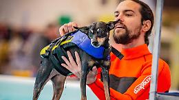 Torna il Petsfestival, gli animali da compagnia protagonisti di un weekend magico