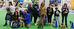 I premiati in festa: «Vincono i legami»