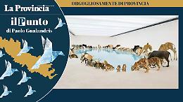 Il Kalahari siamo noi, solo insieme si sopravvive