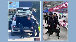 L'Arma dei carabinieri scende in campo contro droga, bullismo, violenza di genere e truffe agli anziani