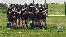 «I  ragazzini si allenano tra le nutrie»