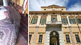 Pelle di coccodrillo esposta nel negozio, 10mila euro di multa