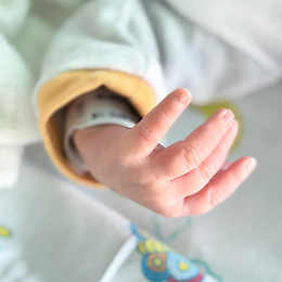 Cena di gala per l'associazione TINsieme odv