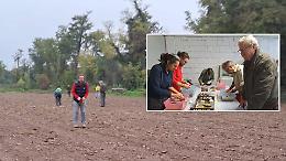 Sotto pochi centimetri di terra, la storia non dorme