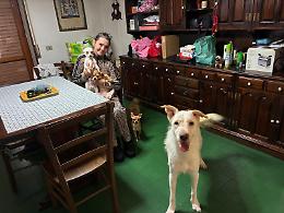 Arianna e i suoi cinque cani: «Finalmente abbiamo trovato casa»