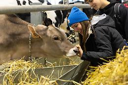 Fiere Zootecniche Internazionali 2025