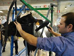 L’80ª edizione è un traguardo storico