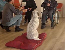 Anziani e animali, il legame è terapeutico