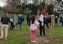 Per ogni nato ora c&rsquo;&egrave; un nuovo albero