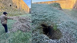 Cinghiali e tassi nel fossato delle mura: scoperte le tracce